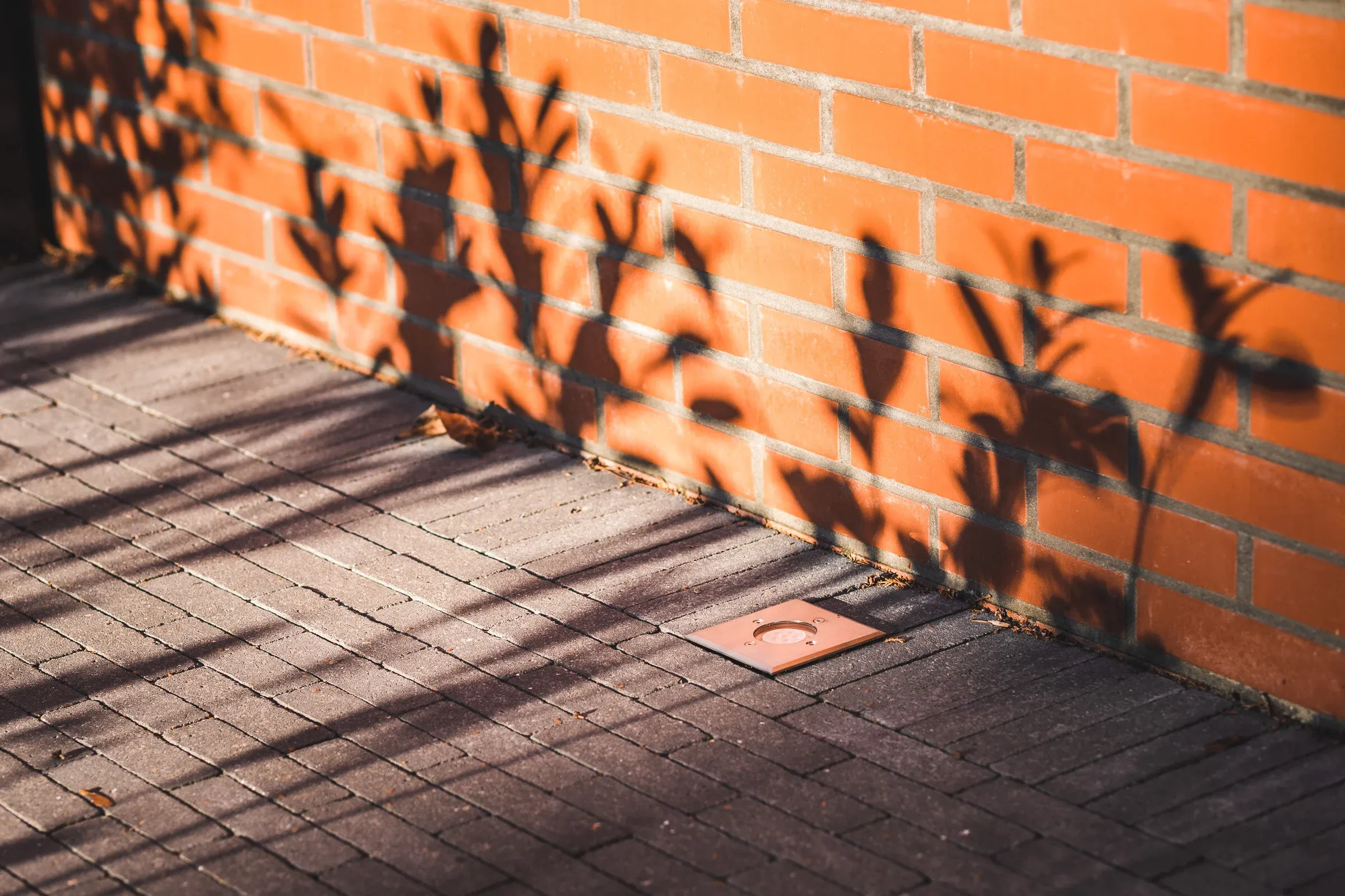 Ombres de plantes sur un mur en brique éclairé et une terrasse pavée