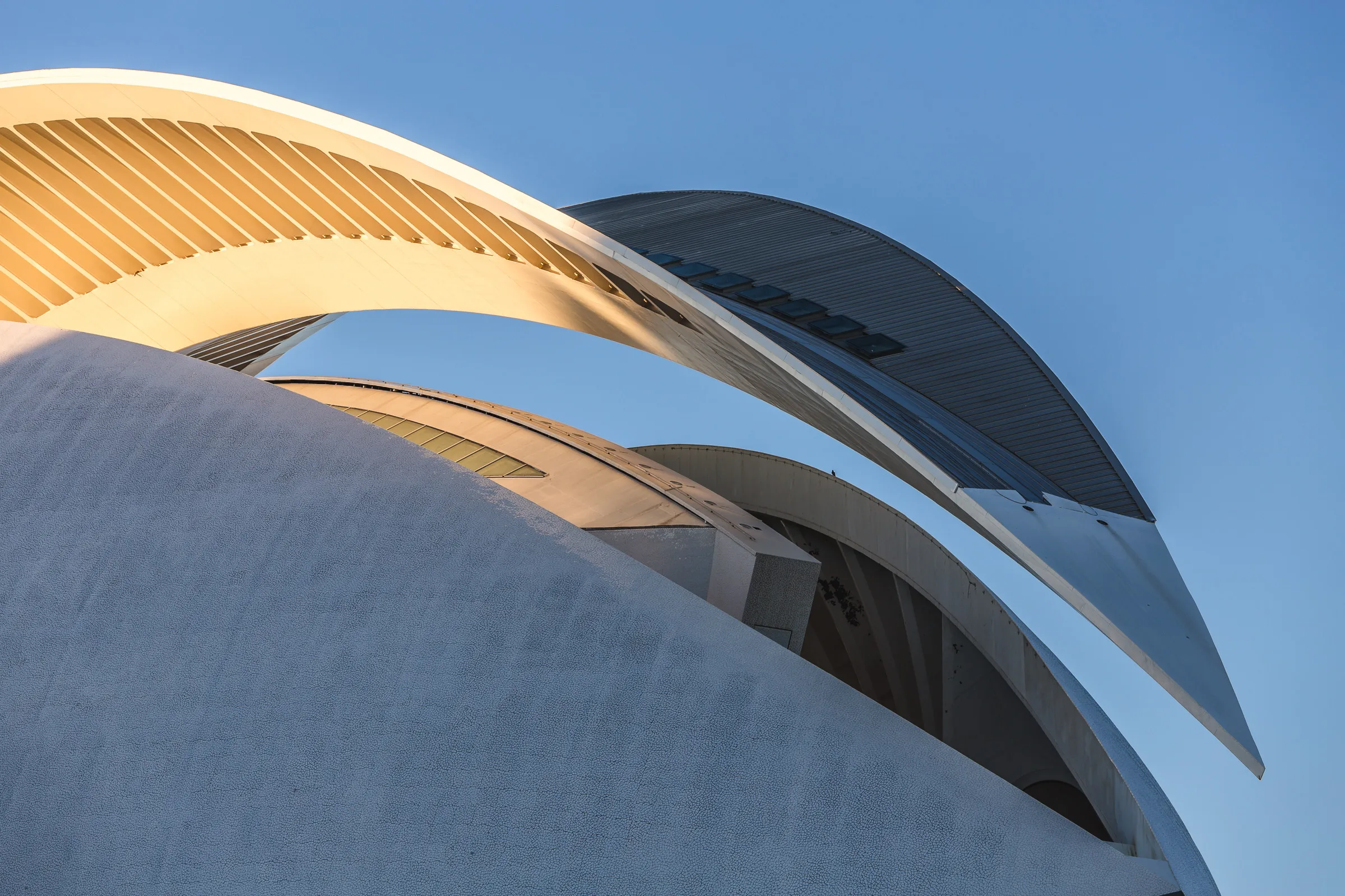 Upward view of sweeping white structural ribs against a blue sky