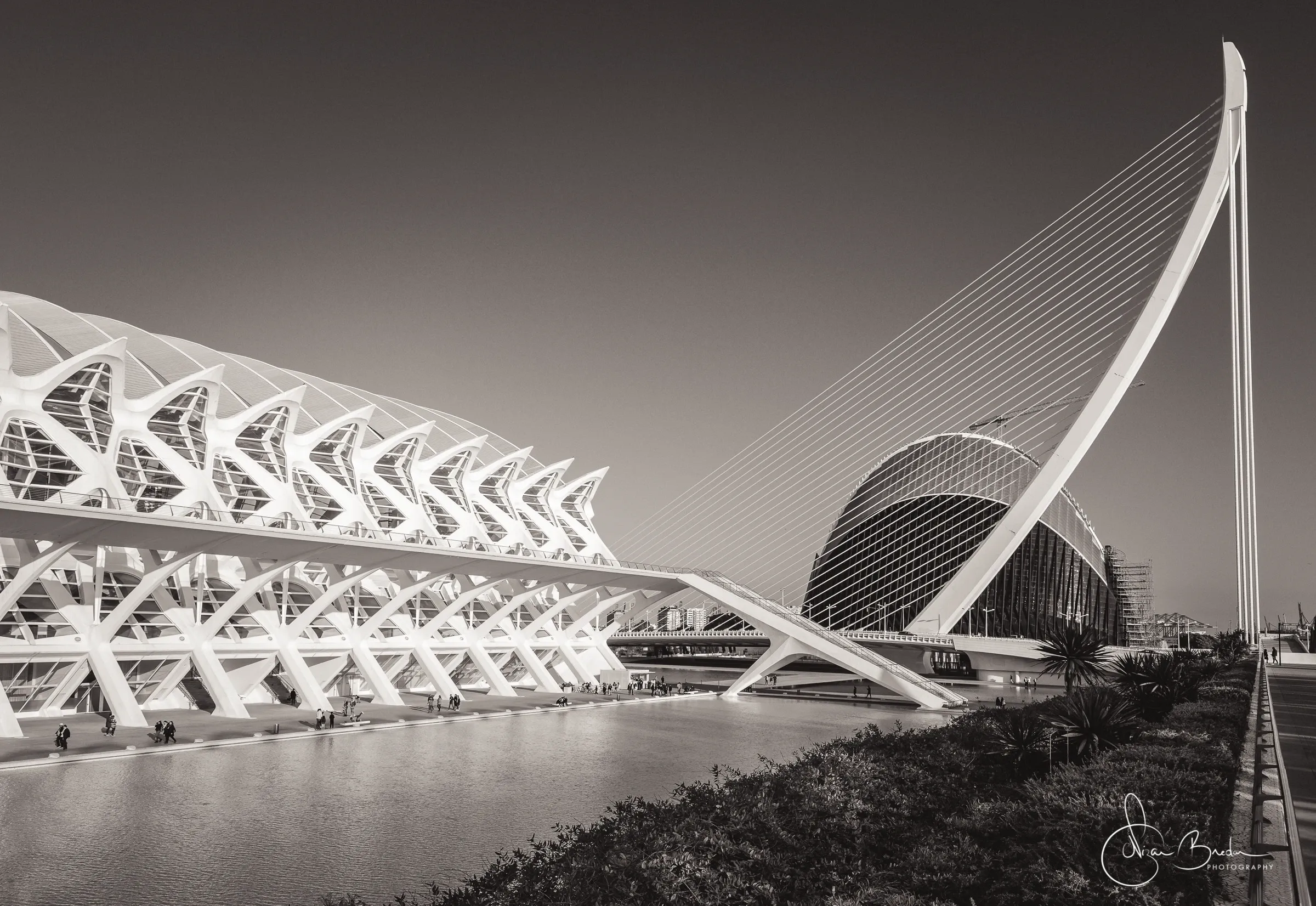 Monochrome view of a cable-stayed bridge and repeating white structure