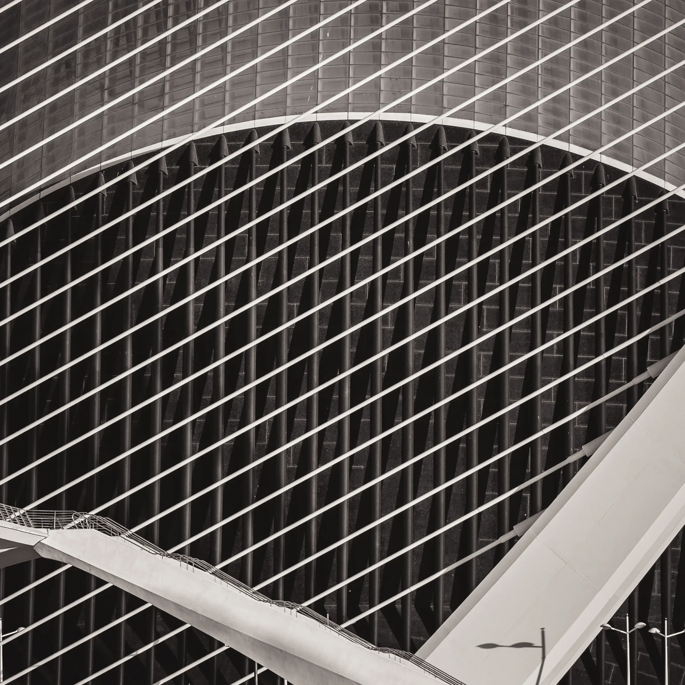 Abstract monochrome study of crossing structural lines