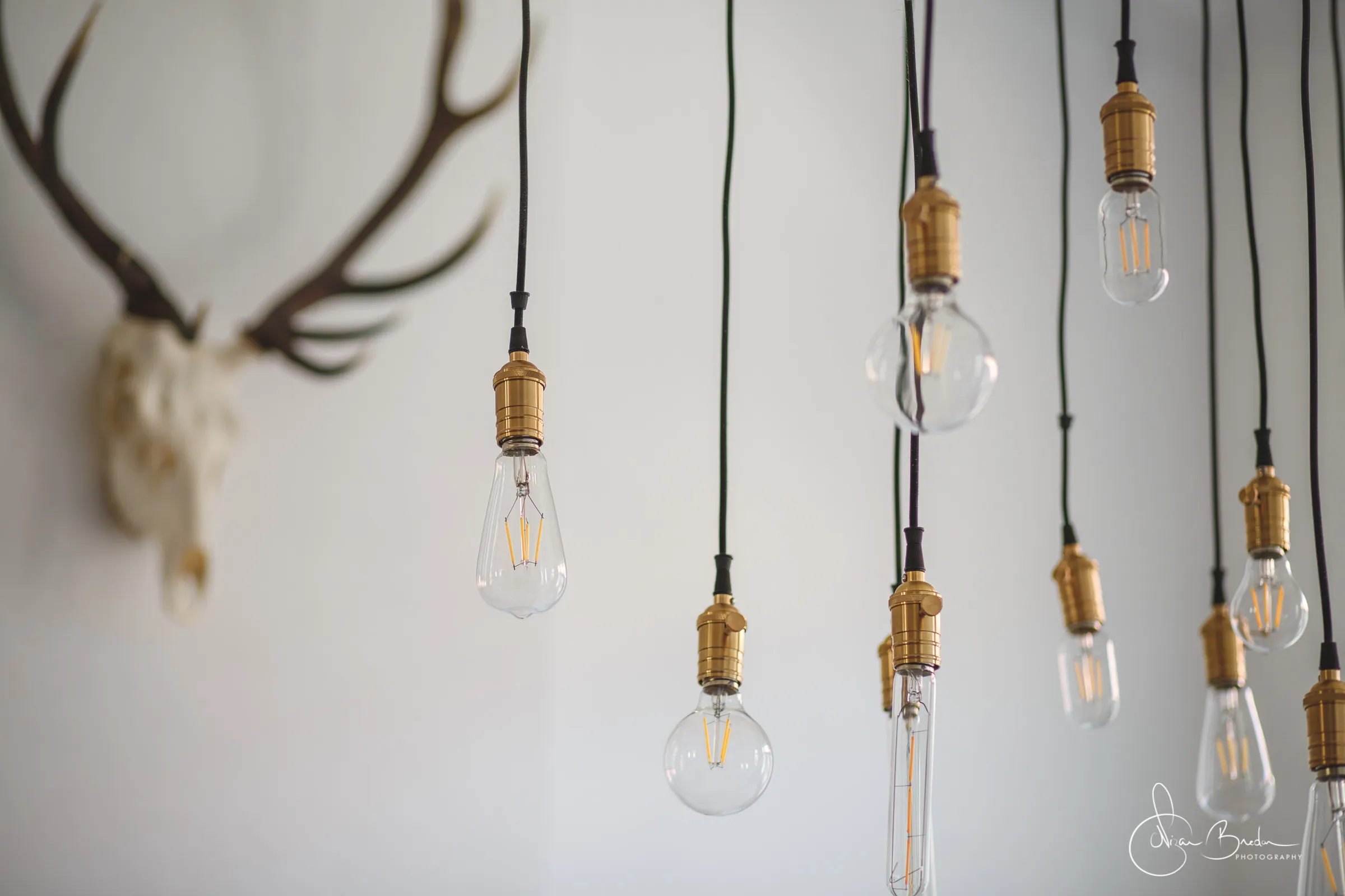 Close view of filament bulbs hanging before a bright window