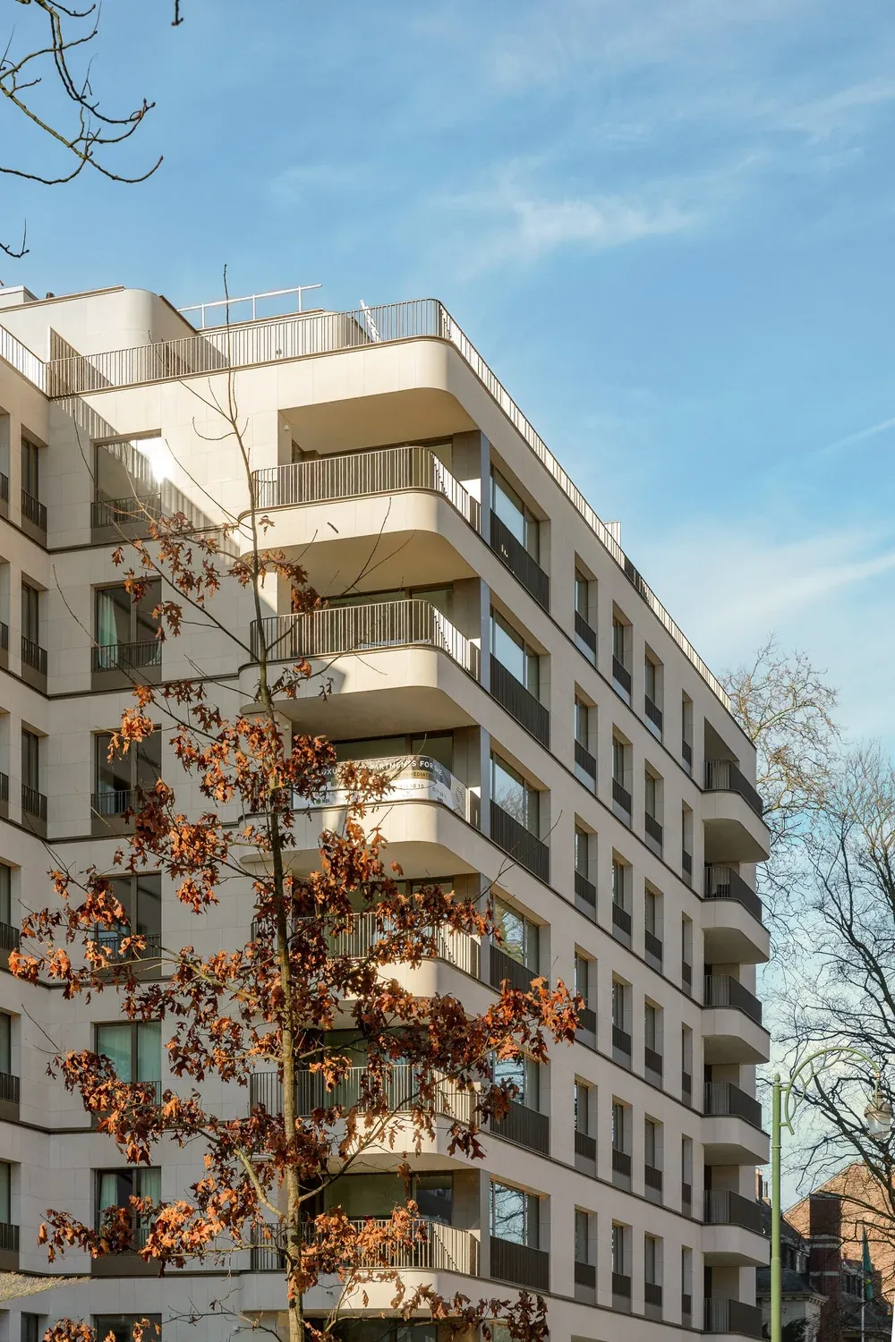Angle résidentiel s’élevant derrière un arbre urbain mature